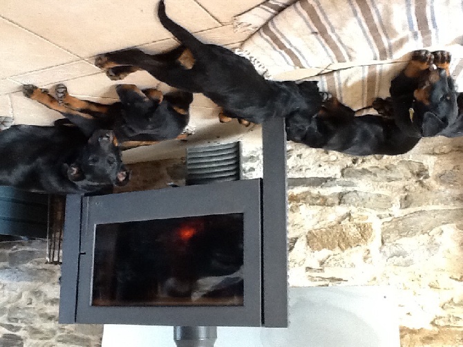 Du Domaine Des Loups De Grasla - Petite sieste en famille