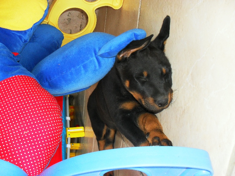 Photos