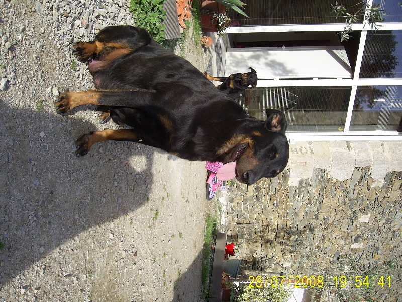 ARES