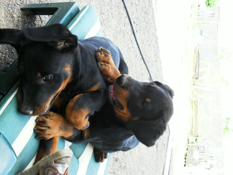 Photos