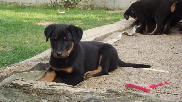 Photos d'Akane et Colt le 11/03/2012